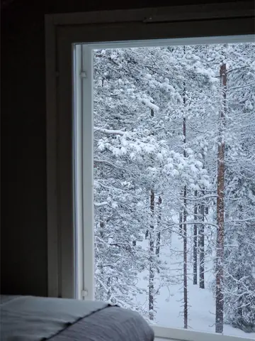 Snowy pine forest seen from a bedroom window