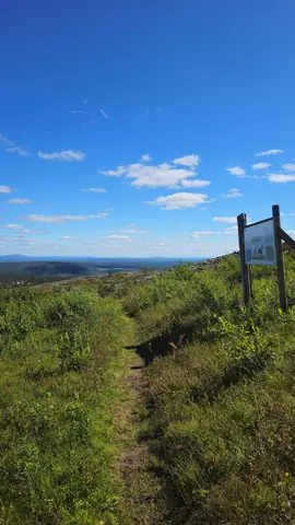 Summer hiking trail near Chalet Nulkka in Levi