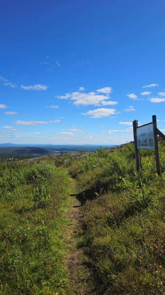 Summer hiking trail near Chalet Nulkka in Levi