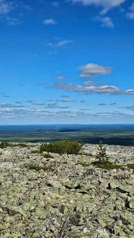 Rocky summit of the Levi fell in summer with views over Lapland