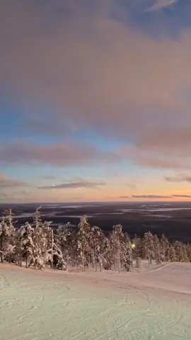 Skiing in Levi at sunset with snow-covered trees